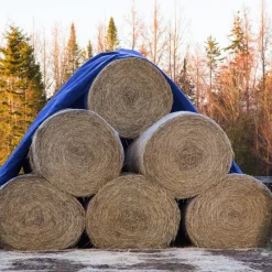 Abdeckplane Gewebeplane mit Ösen 8x12 m 180g/m² in Blau aus PE-ECD Germany