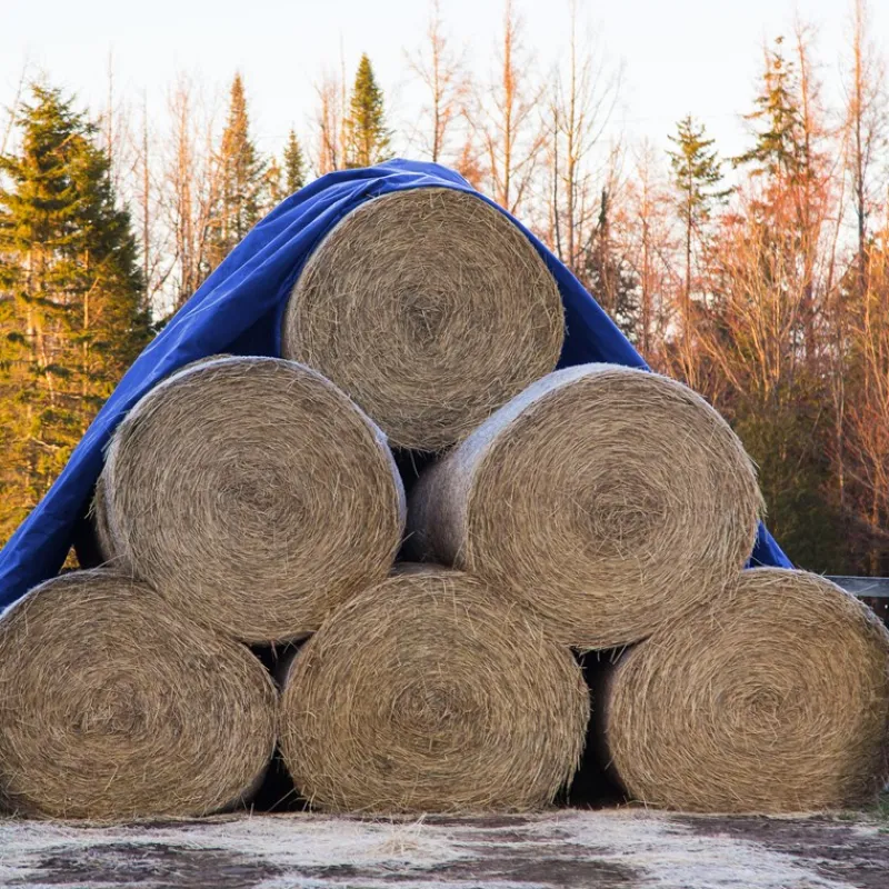 Abdeckplane Gewebeplane mit Ösen 8x12 m 180g/m² in Blau aus PE-ECD Germany