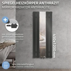 Badheizkörper Flach mit Spiegel und Universale Anschlussgarnitur 45x120 cm Anthrazit ML-Design-ECD Germany