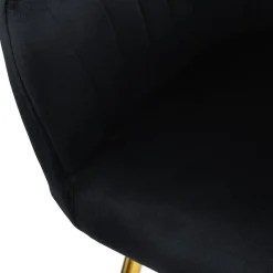 Esszimmerstuhl 2er Set mit Rücken- und Armlehnen Schwarz Küchenstuhl mit Microfaser-Samtbezug & goldenen Metallbeinen ML-Design-ECD Germany Best