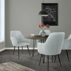 Esszimmerstuhl 4er Set mit Rücken- und Armlehnen Grau Küchenstuhl mit Microfaser-Samtbezug-ECD Germany Online