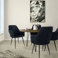 Esszimmerstuhl 4er Set mit Rücken- und Armlehnen Schwarz Küchenstuhl mit Microfaser-Samtbezug-ECD Germany Hot