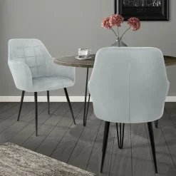 Esszimmerstuhl 2er Set mit Rücken- und Armlehnen Grau Küchenstuhl mit Microfaser-Samtbezug-ECD Germany Online