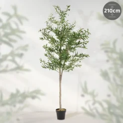 Künstlicher Olivenbaum 210 cm Kunstpflanze mit Naturholzstamm und Früchten ML-Design-ECD Germany Clearance