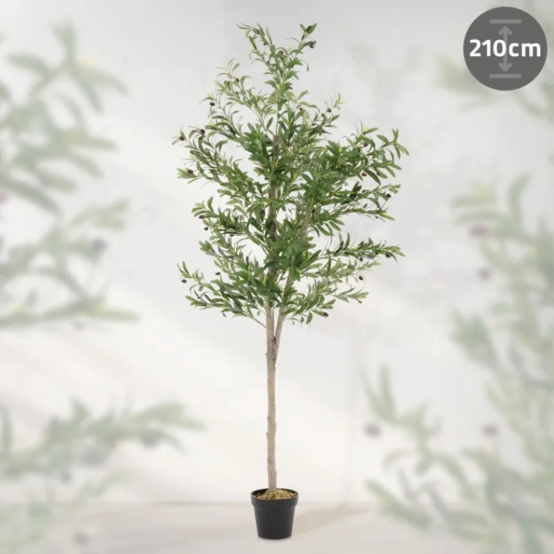 Künstlicher Olivenbaum 210 cm Kunstpflanze mit Naturholzstamm und Früchten ML-Design-ECD Germany Clearance