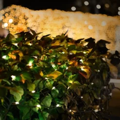 LED Lichternetz 100x200 cm mit 160 LEDs Warmweiß IP44-ECD Germany Online